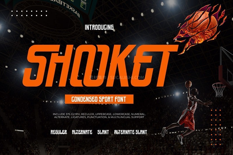 10款超级有设计感的英文运动字体